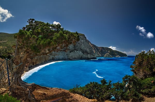 Обои деревья, lefkada, ioanian sea, лефкада, побережье, скалы, porto katsiki, пляж, greece, греция, ионическое море, порто кацики