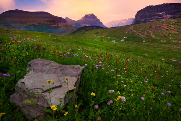 Обои glacier national park, the valley of light and color - logans pass, montana