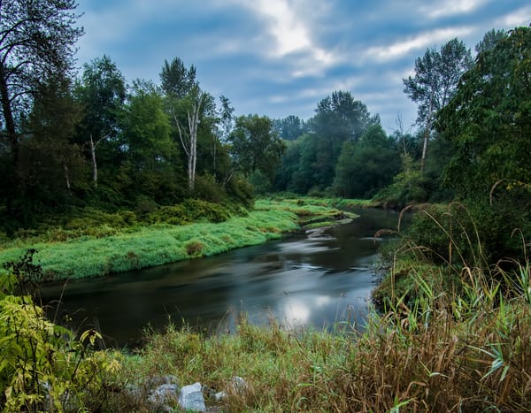 Обои canada, jerry sulina park, british columbia, maple ridge, winding summer river