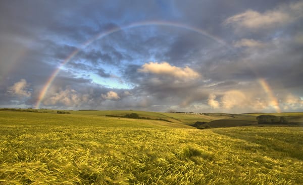 Обои usa, double rainbow, barley fields, montana