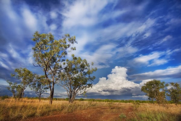 Обои australia, the outback, pine creek