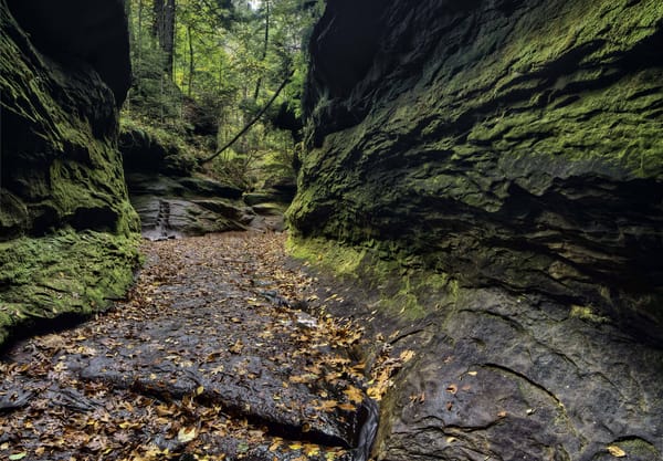 Обои пейзаж, штат индиана, turkey run state park, проем, скалы, осень