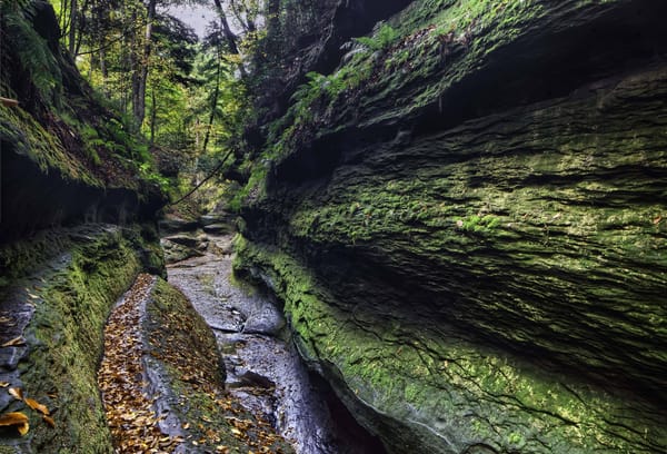 Обои деревья, проем, салы, осень, turkey run state park, штат индиана, пейзаж