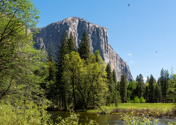 Обои пейзаж, река, yosemite national park, горы