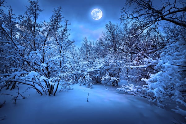 Обои new year, christmas tree, magic christmas night, merry christmas
