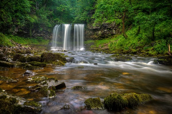 Обои лес, водопад, уэльс, wales, река, brecon beacons national park, afon hepste river, англия, england, sgwd yr eira waterfall
