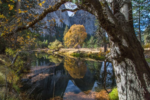 Обои пейзаж, река, yosemite national park, горы