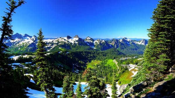 Обои деревья, горы, вид с верху, rainier national park, пейзаж