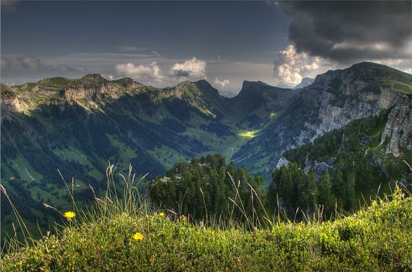 Обои switzerland, горы, деревья, вид с верху