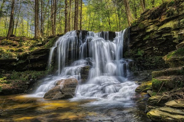 Обои Ricketts Glen State Park, деревья, водопад, Риккетс Глен Стейт Парк, скалы, Pennsylvania, природа