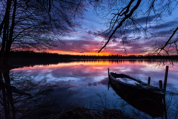 Обои Viherlaakso, Finland, Espoo