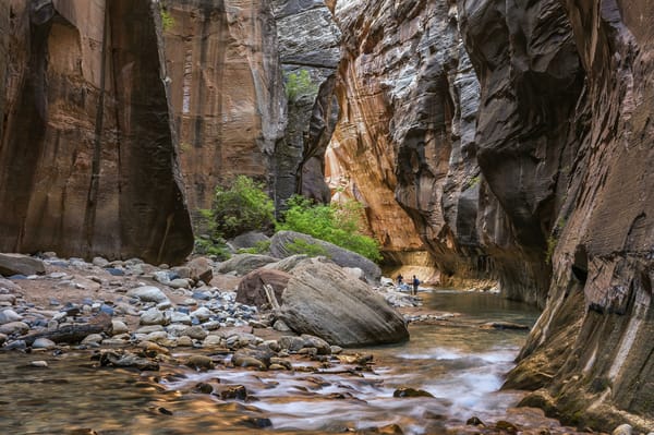 Обои Virgin River, река, скалы, горы, пейзаж, Zion National Park