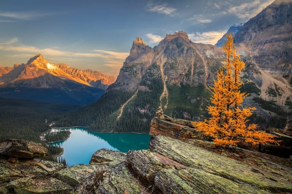 Обои Canada, озеро, Lake O Hara, Yoho National Park