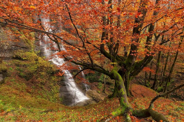 Обои Uguna Waterfall, Basque Country, Bizkaia, Gorbea Natural Park