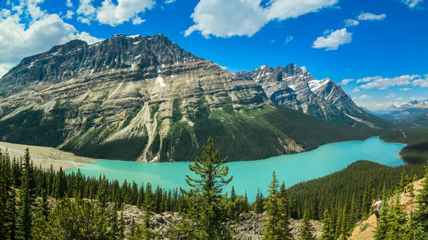 Обои Peyto Lake, Национальный Парк Банф, лес, пейзаж, Canada, Alberta, горы, скалы, деревья, Озеро Пейто, озеро, Banff National Park