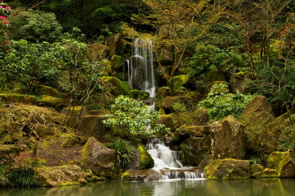 Обои Portland Japanese Garden Waterfall, парк, водопад, сад