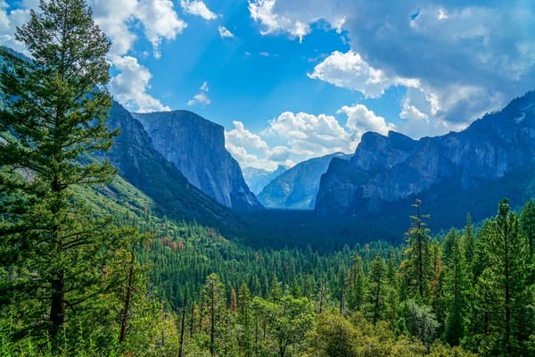 Обои Йосемитский национальный парк, США, Yosemite National Park, Калифорния