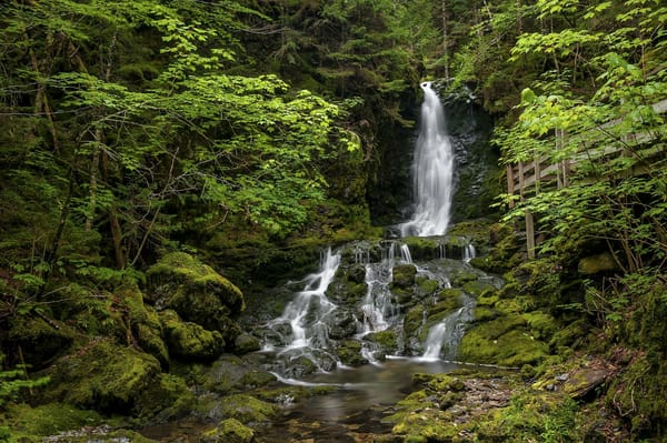 Обои Fundy National Park, водопад, лес, Canada