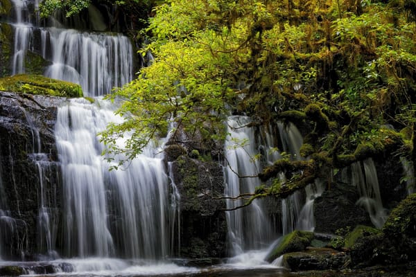Обои Purakanui Falls, South island, New Zealand, водопад