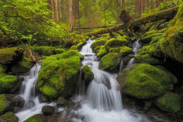 Обои Olympic National Park, United States, Port Angeles, водопад