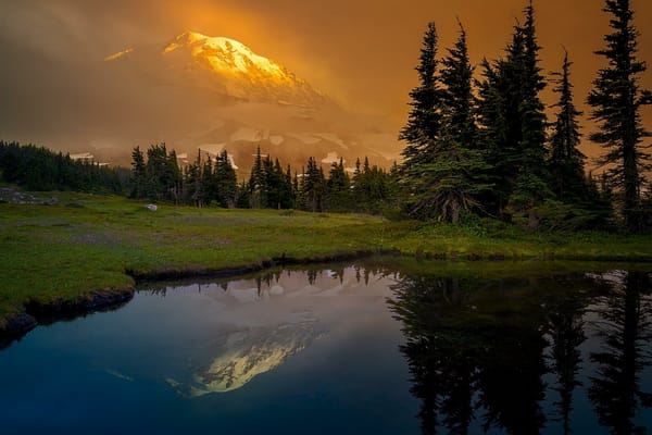 Обои Mount Rainier National Park, Альпийский луг, Washington, закат