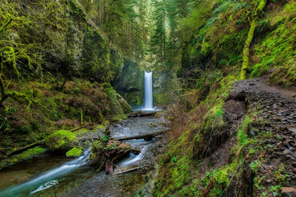 Обои Wiesendanger Falls, Columbia River Gorge, 55-футовый водопад на лиственничной горной тропе в ущелье реки Колумбия, Водопад Визендангер