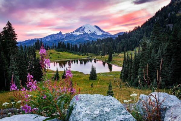 Обои Tipsoo Lake, цветы, закат, Mount Rainier National Park, деревья, озеро, пейзаж, камни, горы