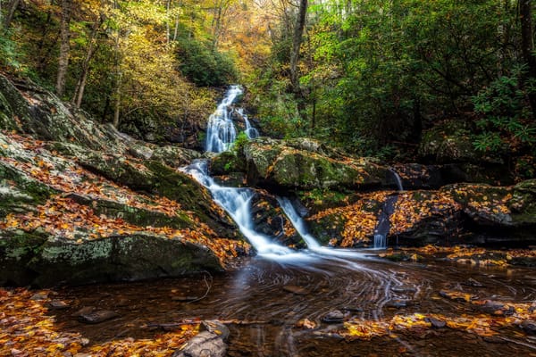 Обои Smoky Mountains National Park, деревья, пейзаж, штат Теннесси, лес, осень, водопад, Грейт Смоки Маунтинс Парк, скалы