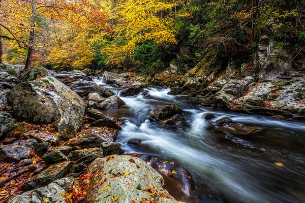 Обои Smoky Mountains National Park, осень, Грейт Смоки Маунтинс Парк, штат Теннесси