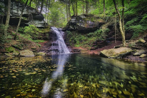 Обои Ricketts Glen State Park, природа, Риккетс Глен Стейт Парк, Pennsylvania, скалы, деревья, водопад