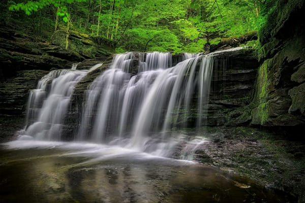 Обои Ricketts Glen State Park, водопад, Pennsylvania, скалы, деревья, Риккетс Глен Стейт Парк, природа