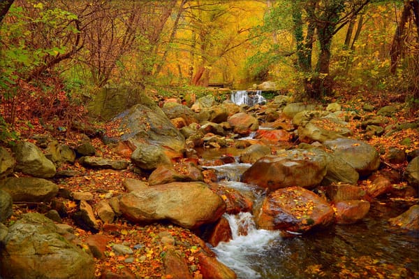 Обои осенний водопад, деревья, осенняя листва, природа, краски осени, пейзаж, осенние листья, камни, осень, осенние краски