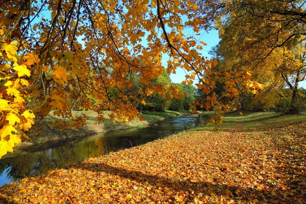 Обои осень, осенние краски, природа, пейзаж, река, деревья осенние листья, краски осени