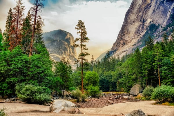 Обои Yosemite National Park, горы, пейзаж, Йосемитский национальный парк, деревья, Калифорния, США