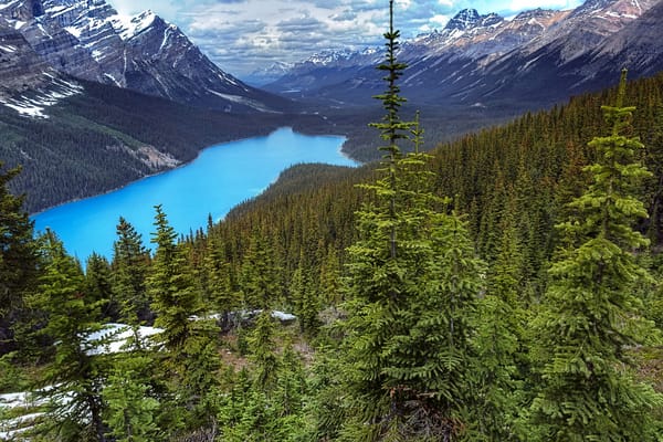 Обои Peyto Lake, озеро, Banff National Park, деревья, горы, пейзаж, Озеро Пейто, скалы, лес, Alberta, Canada, Национальный Парк Банф