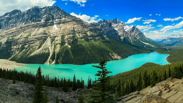 Обои Peyto Lake, Национальный Парк Банф, озеро, Озеро Пейто, лес, Alberta, скалы, горы, деревья, Banff National Park, Canada, пейзаж
