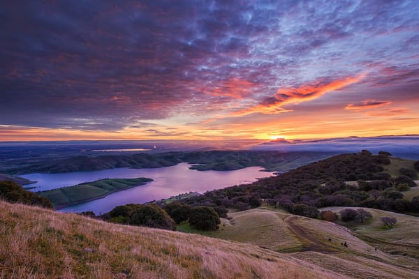 Обои Livermore, California, водохранилище, озеро, закат, небо, деревья, пейзаж, лес, холмы