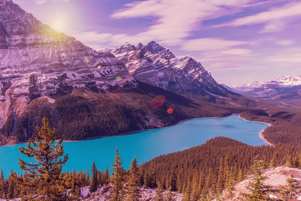 Обои Peyto Lake, лес, Alberta, озеро, Озеро Пейто, Национальный Парк Банф, горы, пейзаж, скалы, деревья, Canada, Banff National Park