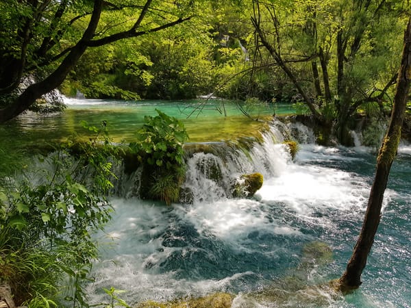 Обои Плитвицкие озера, Хорватия, лес, Croatia, деревья, водопад, Plitvice Lakes national park, пейзаж, река, Национальный парк Плитвицкие озера