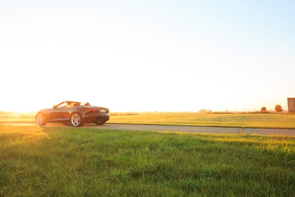 Обои Jaguar, F-type, car, V8 S, трава, автомобиль, ягуар, grass, Convertible