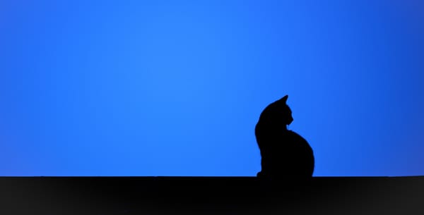 Обои кошка, минимализм, силуэт