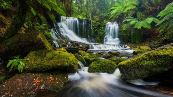 Обои Mount Field National Park, Австралия, камни, Tasmania, Водопад Подкова, Национальный парк Маунт-Филд, река, Horseshoe Falls, каскад, Australia, лес, водопад, Тасмания