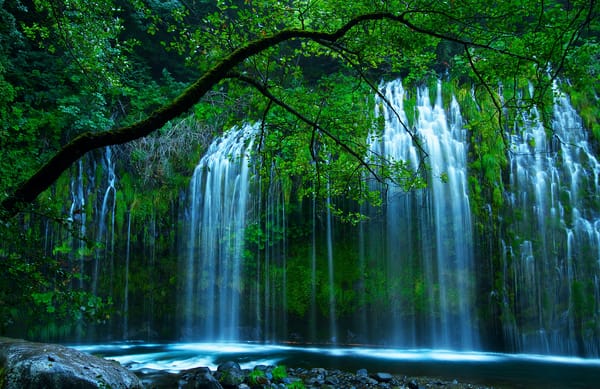 Обои Mossbrae Falls, природа, Sacramento River, деревья, Shasta Retreat, США, зелень, Dunsmuir, водопад, Северная Калифорния, Erno Photography