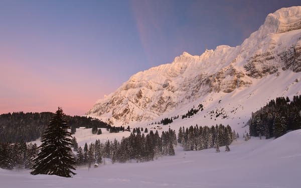 Обои Швейцария, Schwagalp Pass, Switzerland, горный перевал, ели, зима, горы, Alps, снег, Альпы