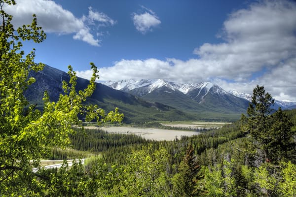 Обои лес, Скалистые горы, Банф, Banff National Park, Canada, Rocky Mountains, Альберта, Alberta, Канада