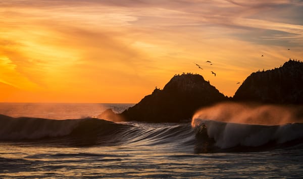 Обои sunset, пляж, волны, птицы, San Francisco, океан, california