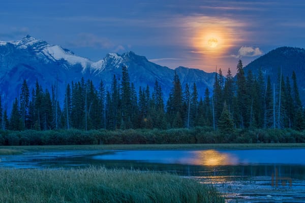 Обои луна, горы, лес, Vermillion Lake, озеро, Канада, полнолуние