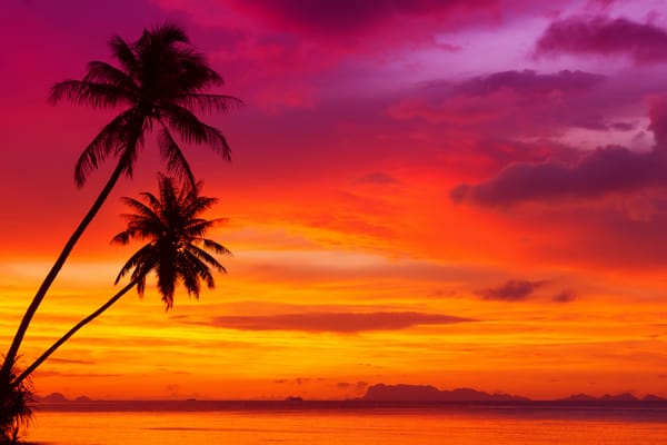 Обои palm trees, beautiful red sky, scenery sunset, тропический пляж, tropical beach, красивый красный небо, природа, Ocean, облака, nature, landscape, пейзаж, пальм, clouds, океан, пейзажи закат