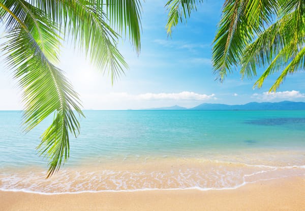 Обои пальмы, тропический пляж, солнечный свет, пейзаж, sunlight, ветки, tropical beach, sky, море, landscape, облака, sea, palm tree, shore, clouds, nature, branch, небо, природа, берег