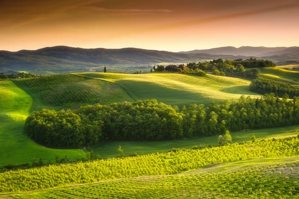 Обои Тоскана, деревья, сельская местность, trees, Италия, зеленые поля, Italy, nature, небо, природа, пейзаж, green field, sky, countryside, Landscape, Tuscany